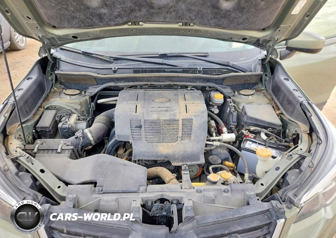 2019 Subaru Forester Premium VIN:JF2SKAGC8KH521305 - 12