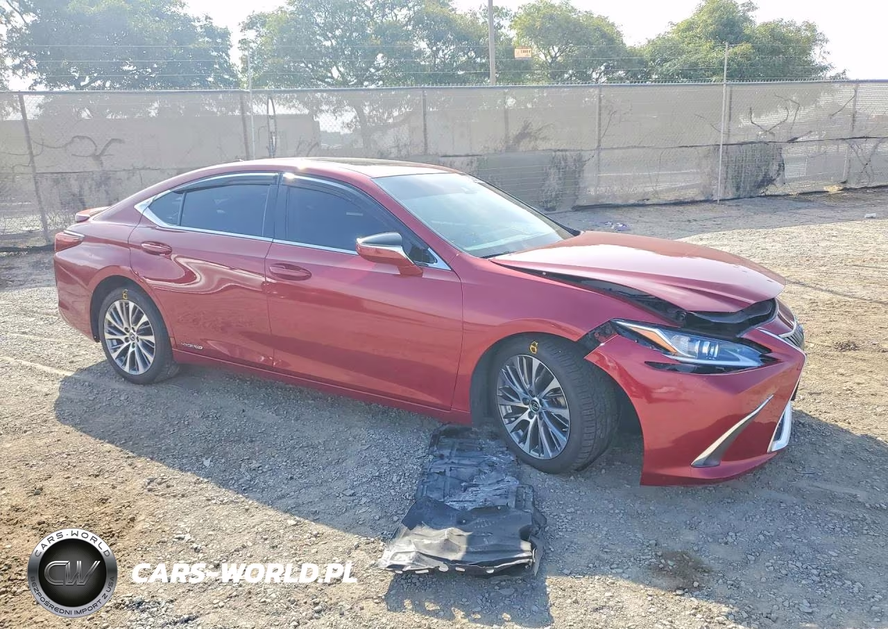 2019 Lexus Es 300H VIN:58AB21B12KU004050 - 4