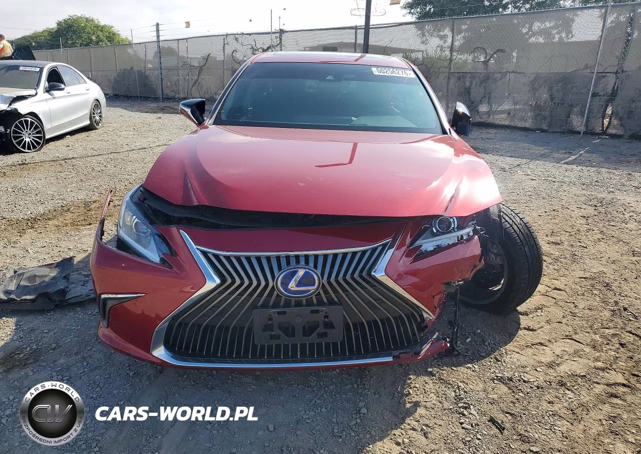 2019 Lexus Es 300H VIN:58AB21B12KU004050 - 5