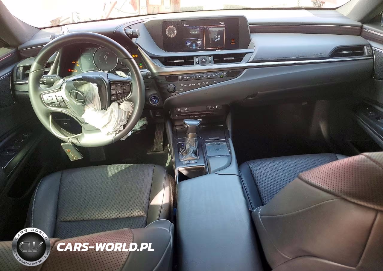 2019 Lexus Es 300H VIN:58AB21B12KU004050 - 8
