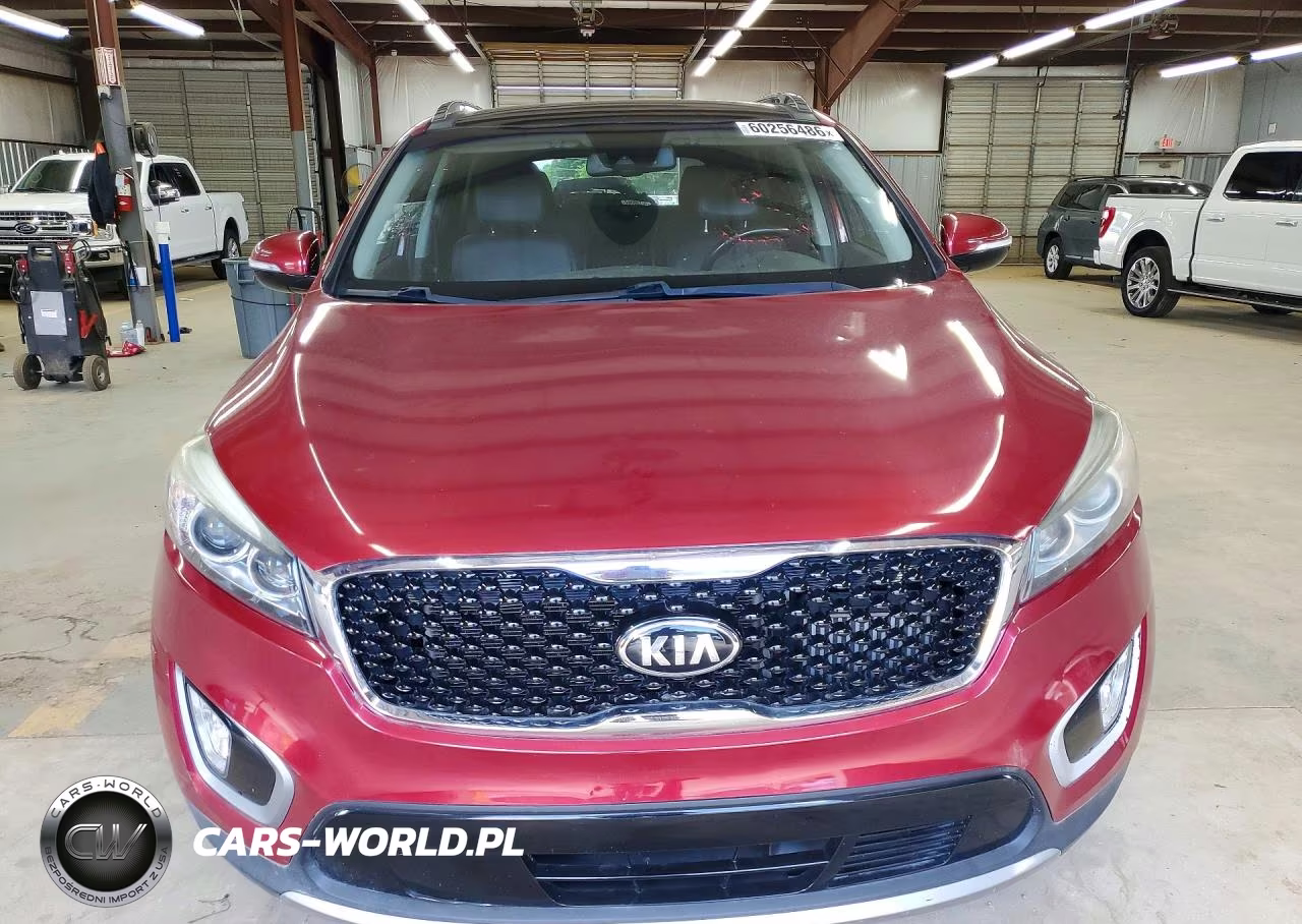2017 Kia Sorento Ex VIN:5XYPH4A1XHG278187 - 5