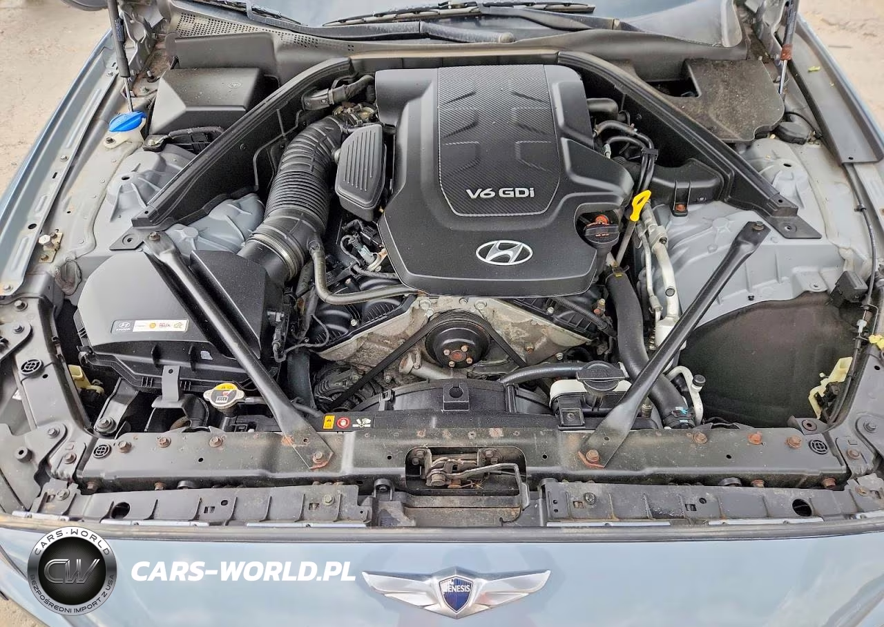 2015 Hyundai Genesis 3.8L VIN:KMHGN4JE3FU022816 - 11
