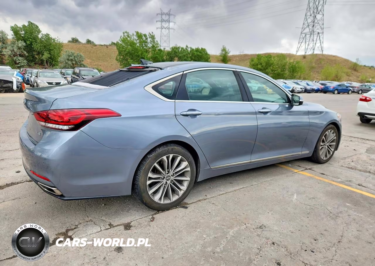 2015 Hyundai Genesis 3.8L VIN:KMHGN4JE3FU022816 - 3