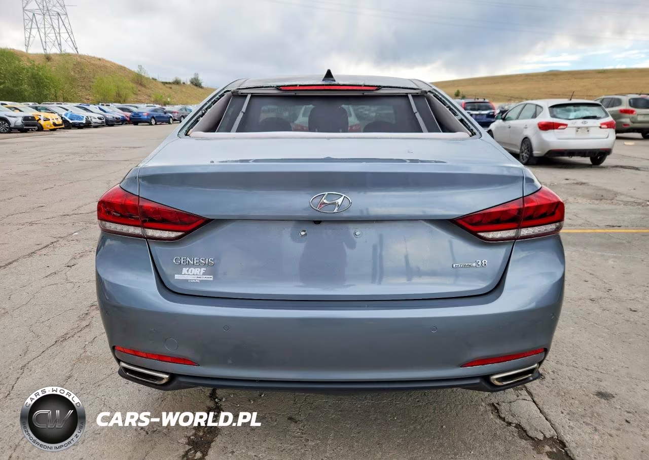 2015 Hyundai Genesis 3.8L VIN:KMHGN4JE3FU022816 - 6