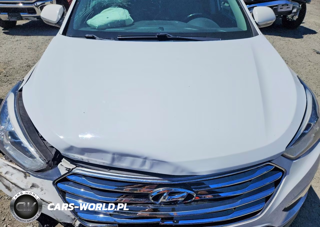 2013 Hyundai Santa Fe Limited VIN:KM8SRDHF8DU000577 - 12