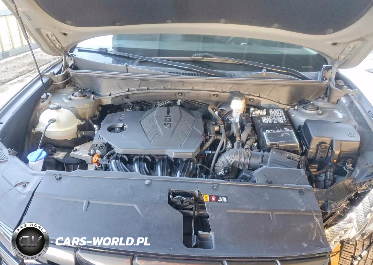 2024 Hyundai Tucson Sel VIN:5NMJF3DE2RH412198 - 12