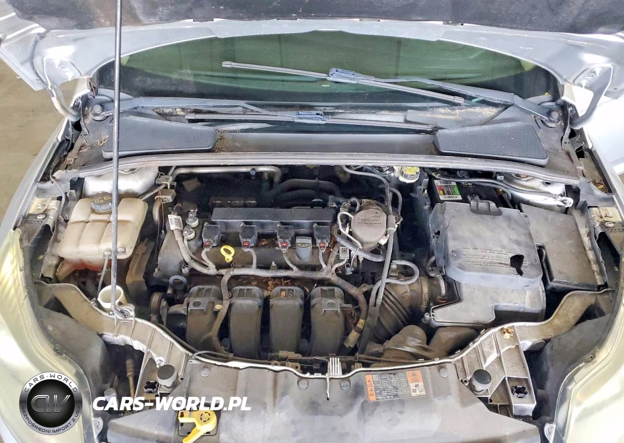 2014 Ford Focus Se VIN:1FADP3F27EL448111 - 11