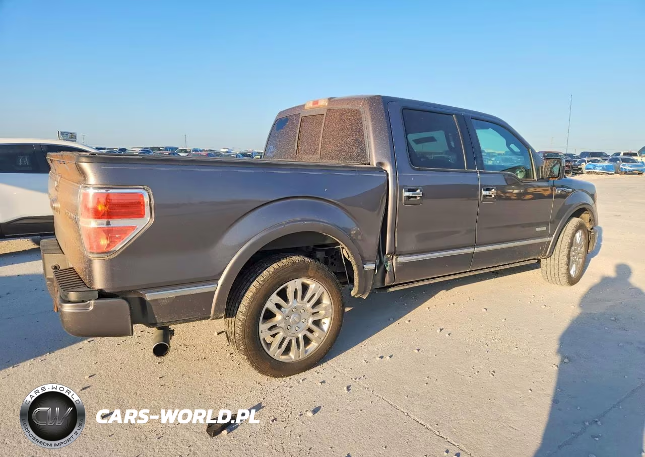 2011 Ford F150 Supercrew VIN:1FTFW1CT3BFA55790 - 3