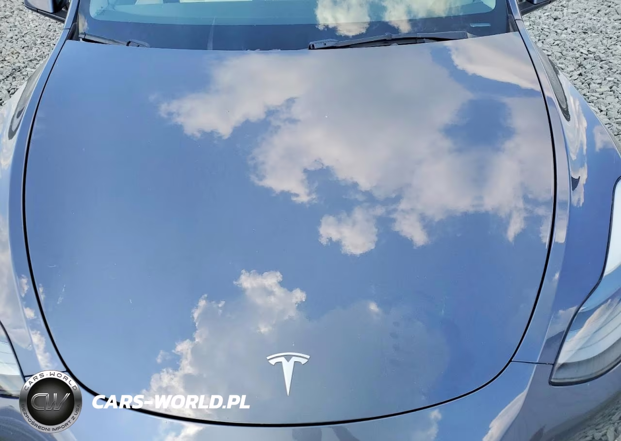 2022 Tesla Model Y VIN:7SAYGDEF2NF307894 - 11