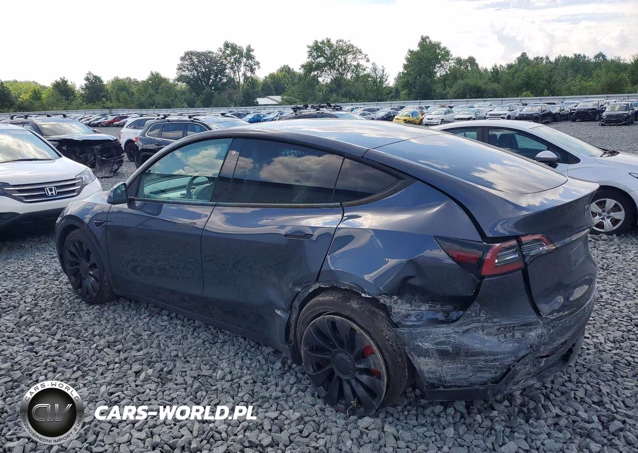 2022 Tesla Model Y VIN:7SAYGDEF2NF307894 - 2
