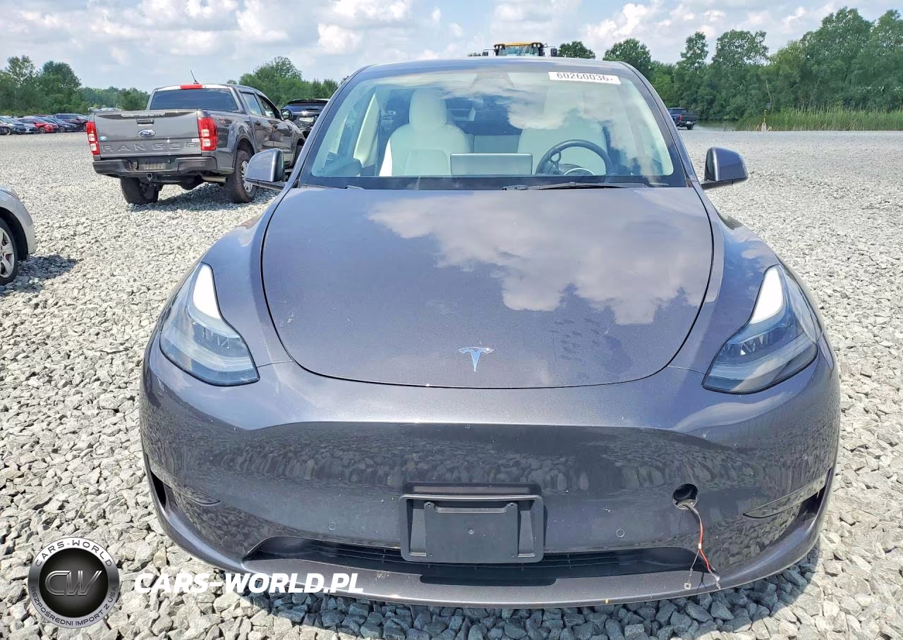 2022 Tesla Model Y VIN:7SAYGDEF2NF307894 - 5