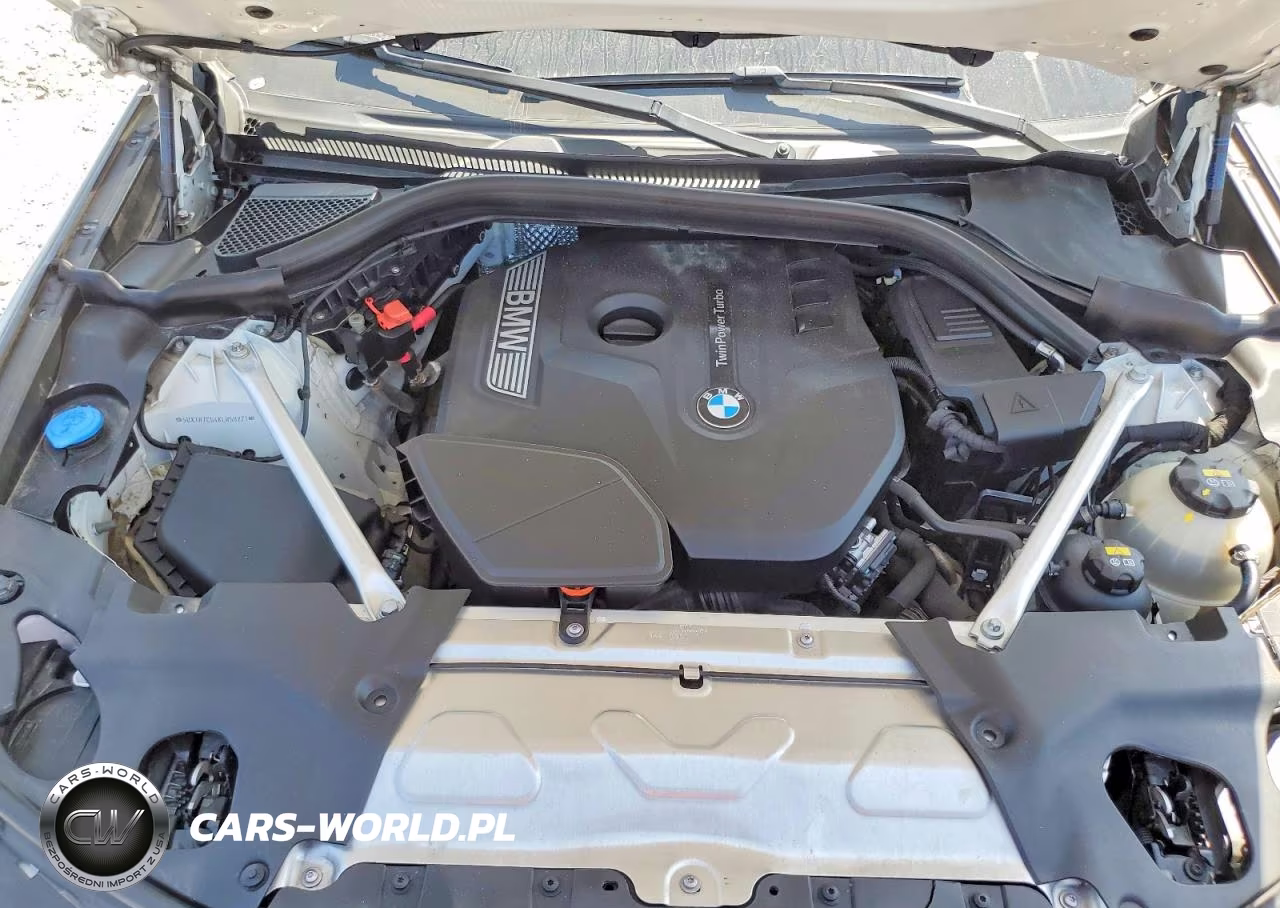 2019 BMW X3 Sdrive30I VIN:5UXTR7C54KLR50221 - 12