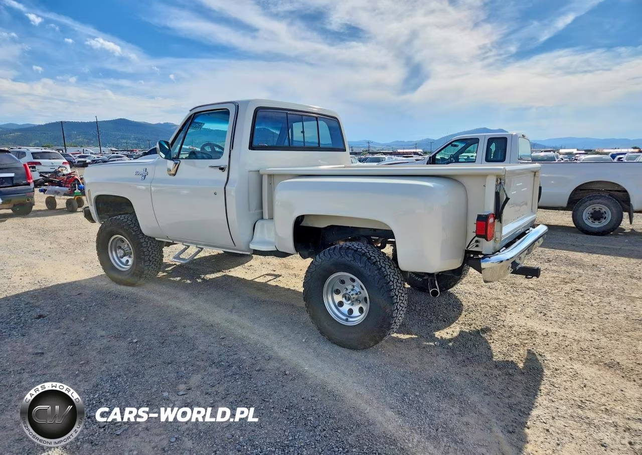 1980 Chevrolet K10 VIN:CKL14AZ111990 - 2