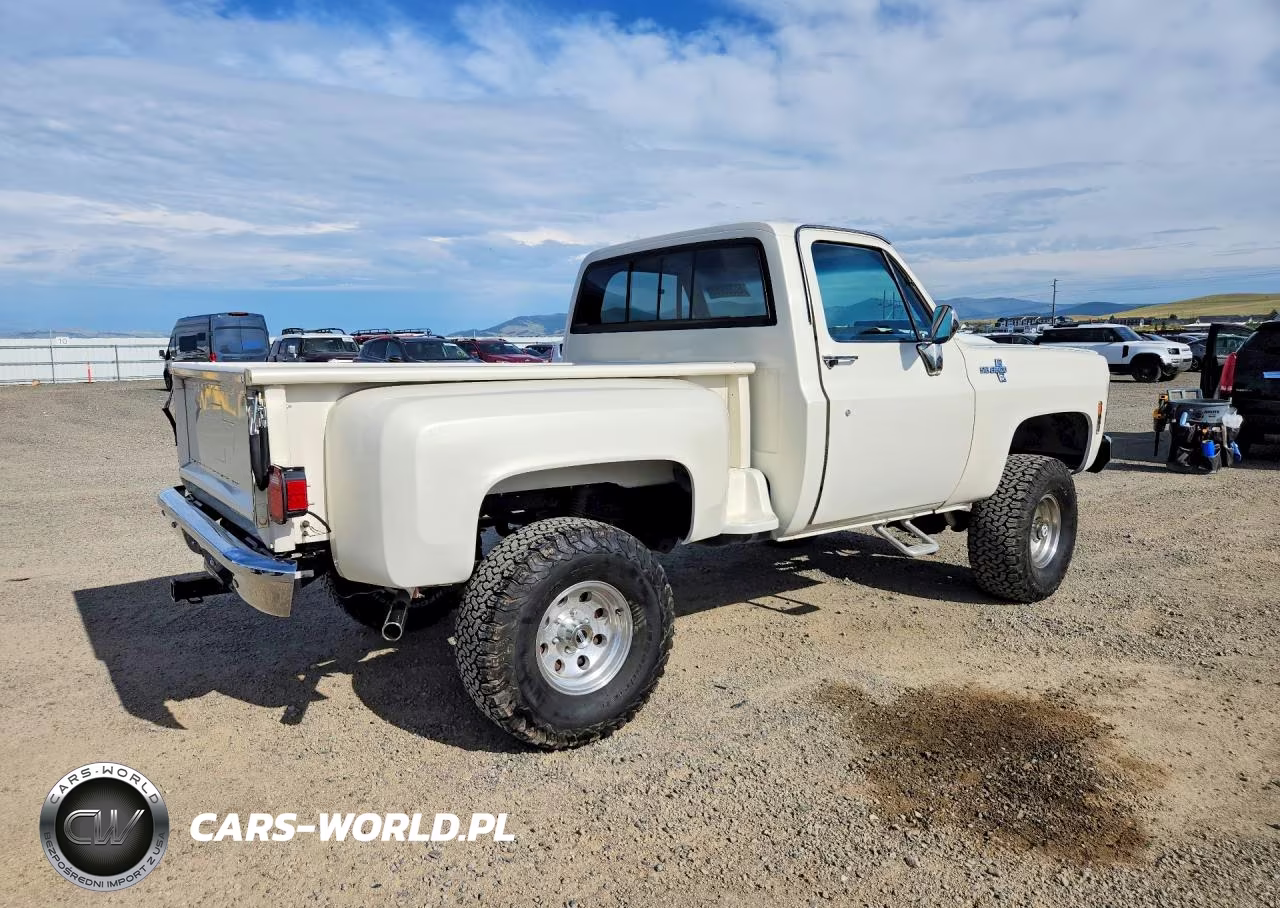 1980 Chevrolet K10 VIN:CKL14AZ111990 - 3
