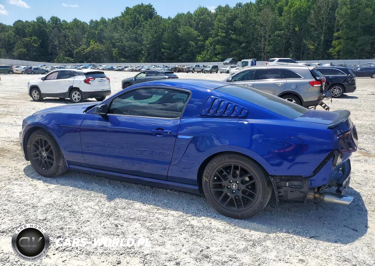 2014 Ford Mustang VIN:1ZVBP8AM1E5261455 - 2