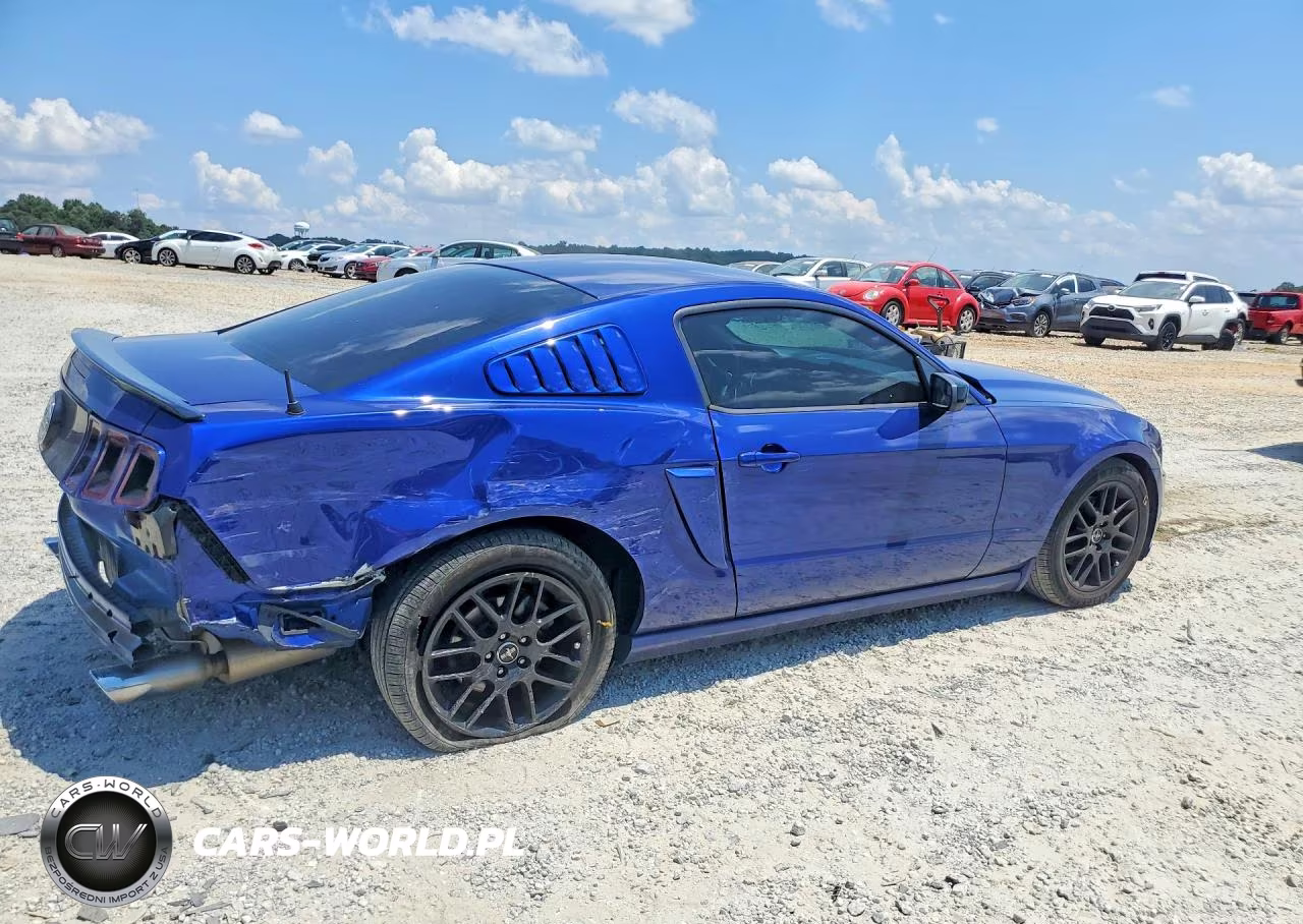 2014 Ford Mustang VIN:1ZVBP8AM1E5261455 - 3