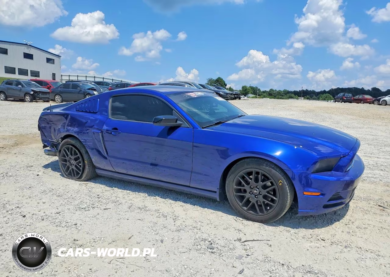 2014 Ford Mustang VIN:1ZVBP8AM1E5261455 - 4