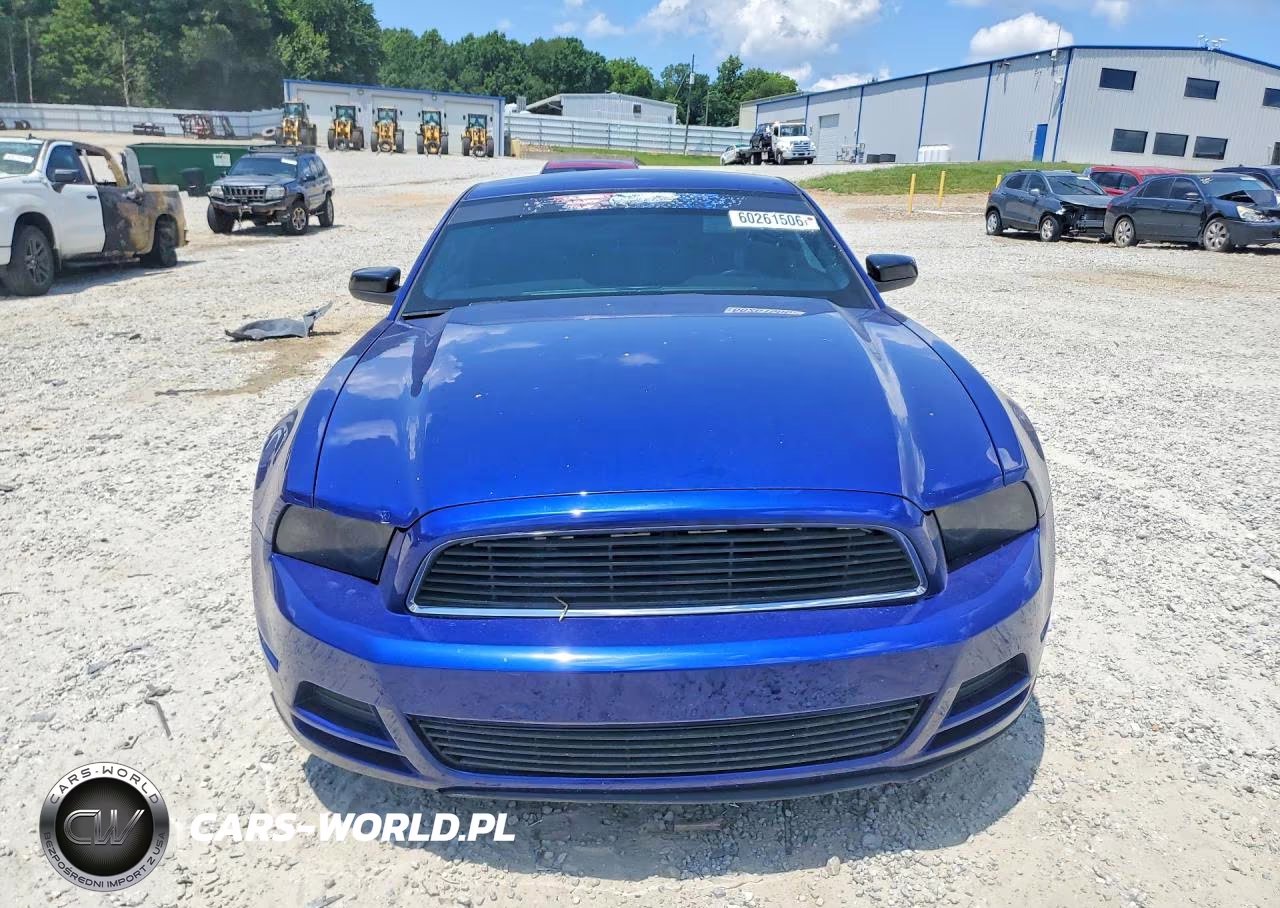 2014 Ford Mustang VIN:1ZVBP8AM1E5261455 - 5