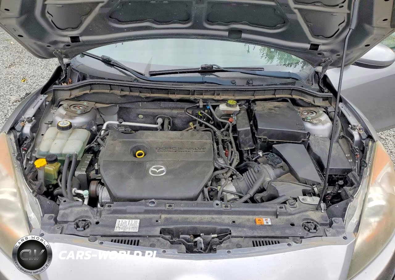 2010 Mazda 3 I VIN:JM1BL1SG5A1282244 - 11