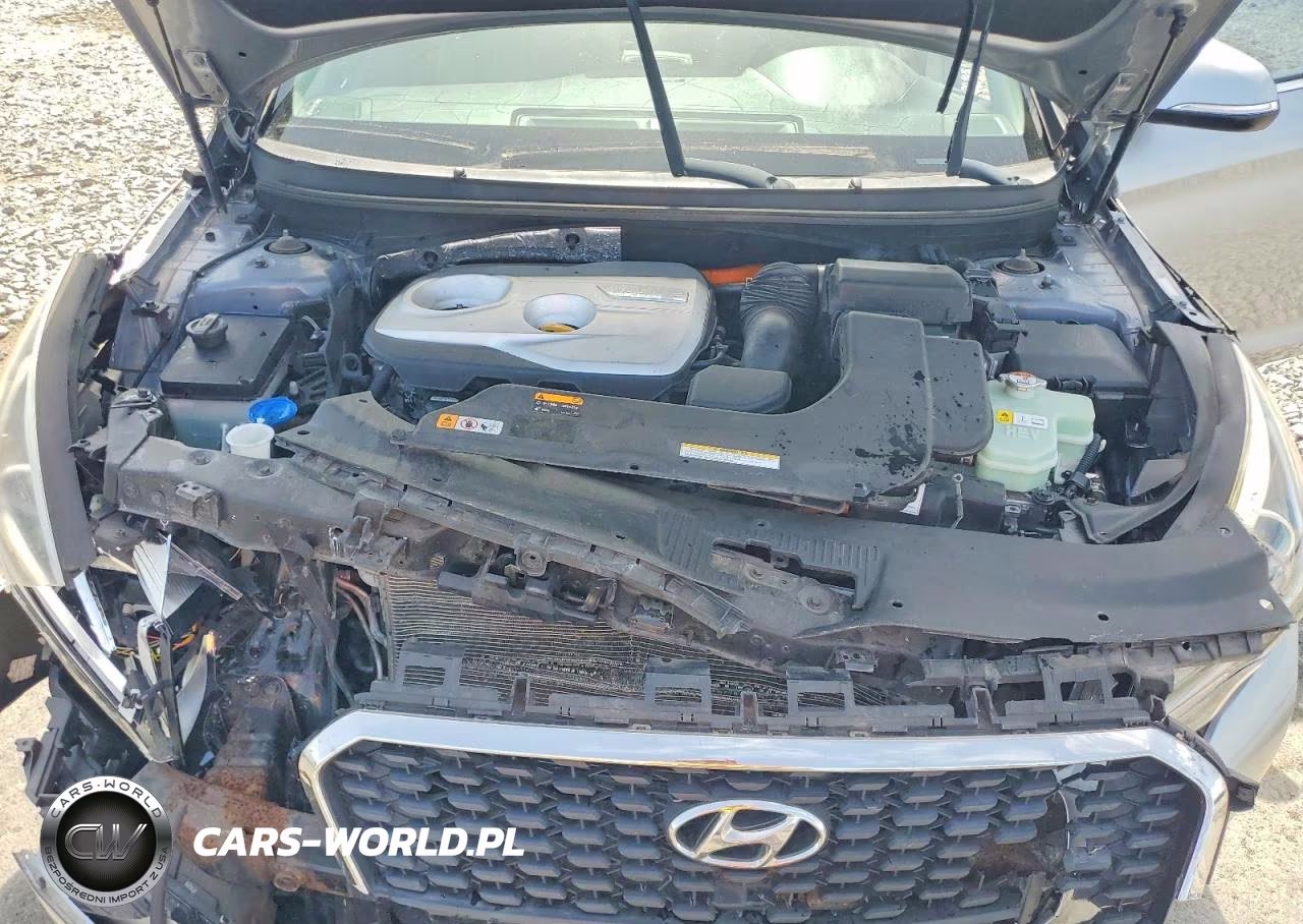 2016 Hyundai Sonata Hybrid Se VIN:KMHE24L11GA038543 - 11