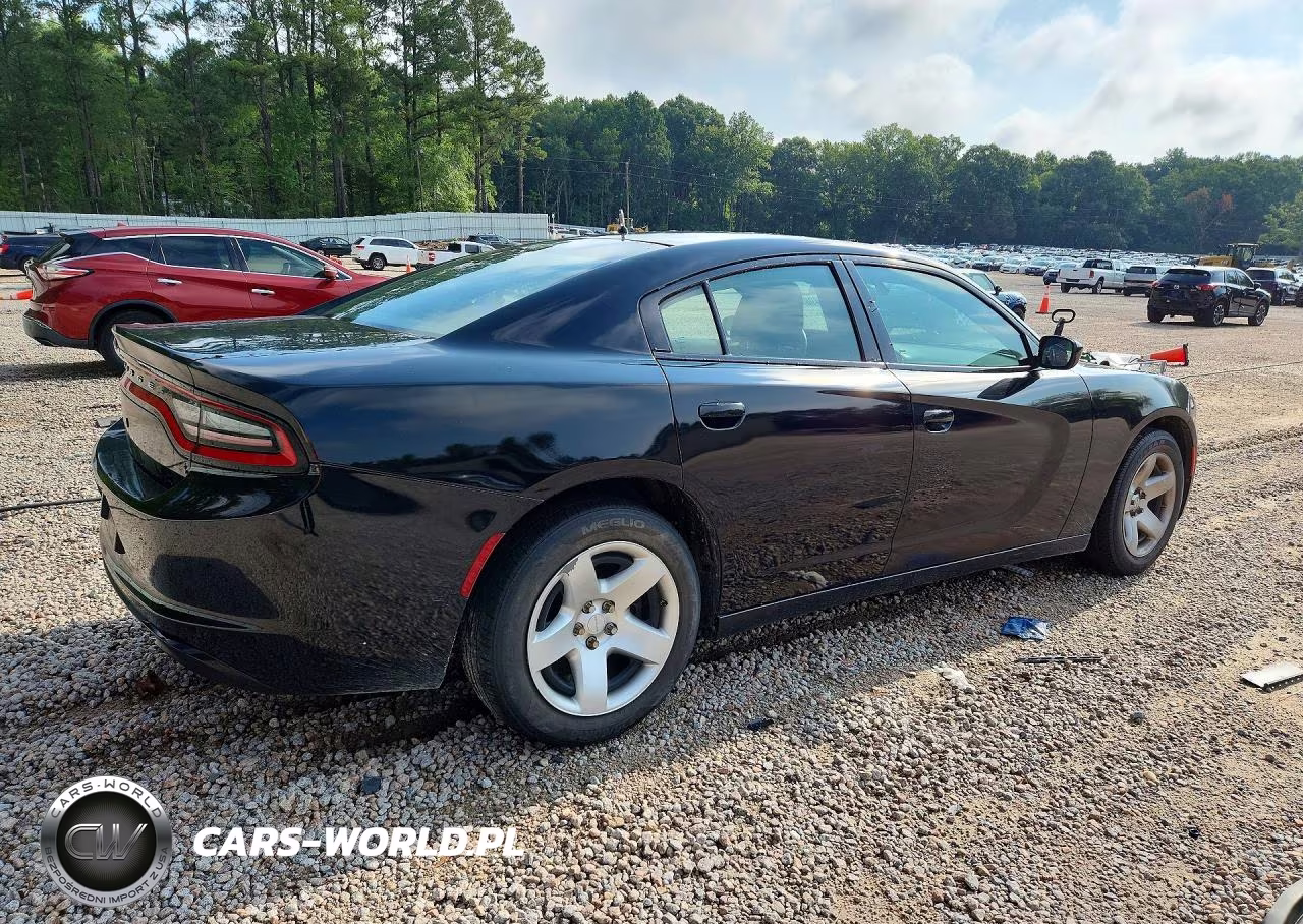 2015 Dodge Charger Police VIN:2C3CDXAG9FH890738 - 3