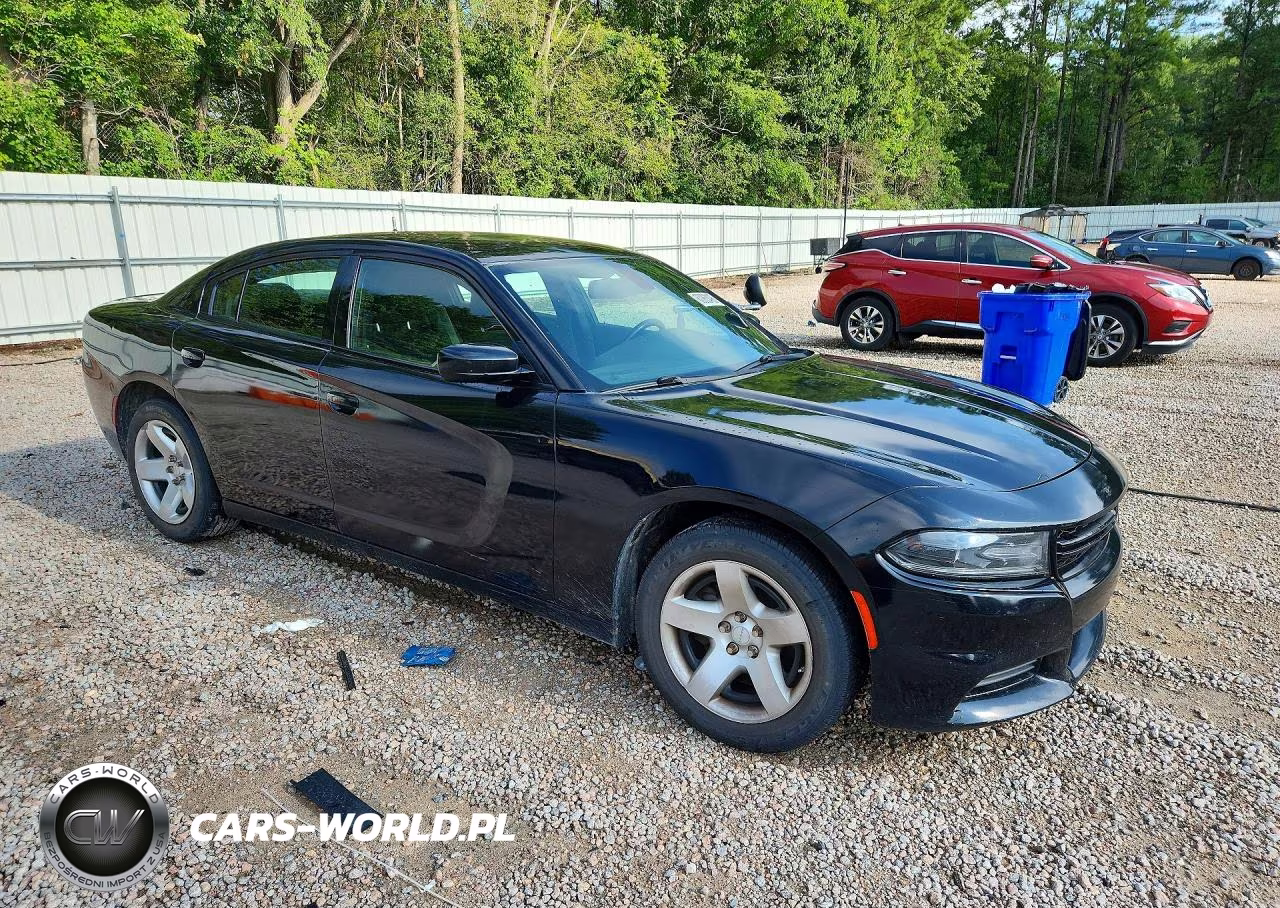 2015 Dodge Charger Police VIN:2C3CDXAG9FH890738 - 4