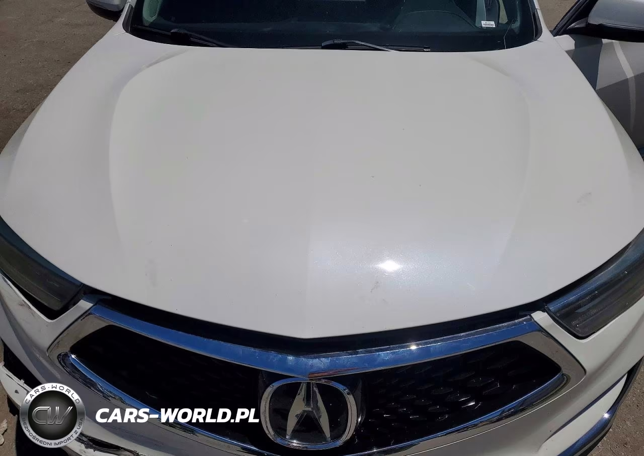 2019 Acura Rdx VIN:5J8TC1H31KL023024 - 12