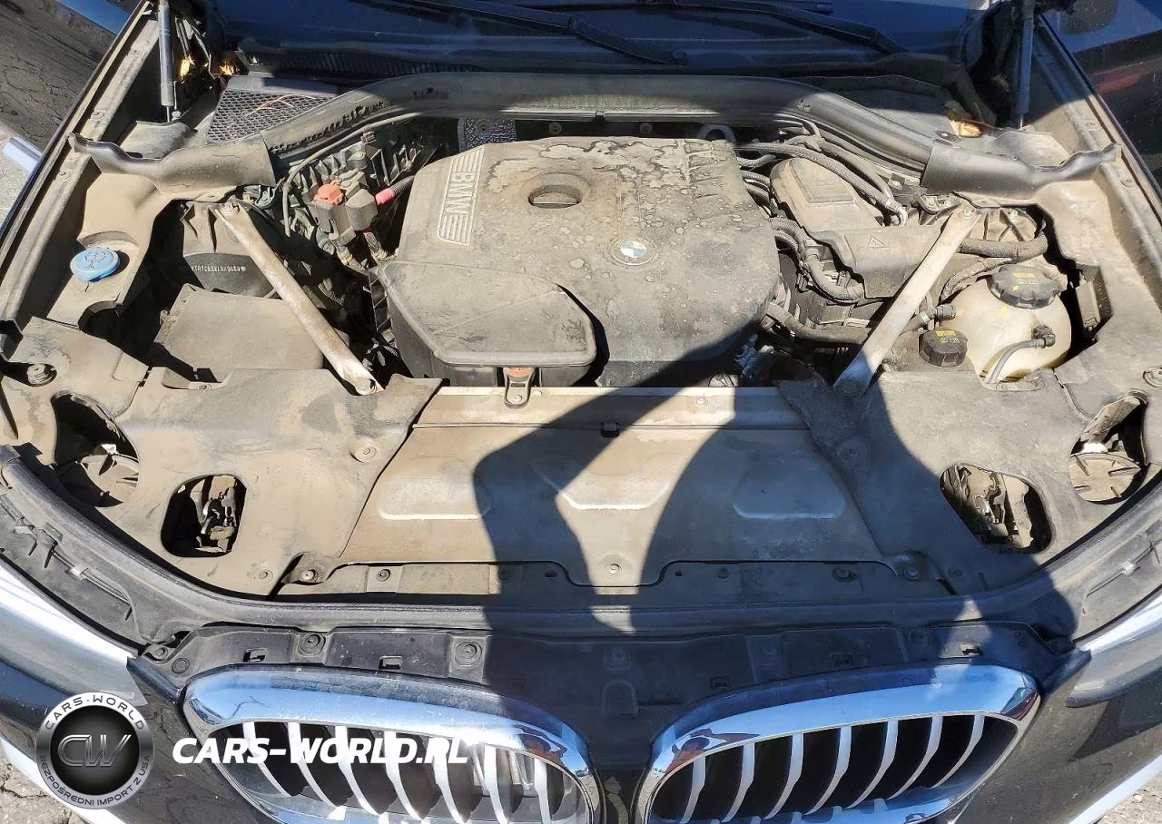2019 BMW X3 Sdrive30I VIN:5UXTR7C5XKLR49669 - 12