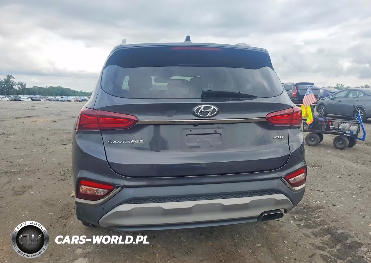 2020 Hyundai Santa Fe Limited 2.0T VIN:5NMS53AA0LH248126 - 6