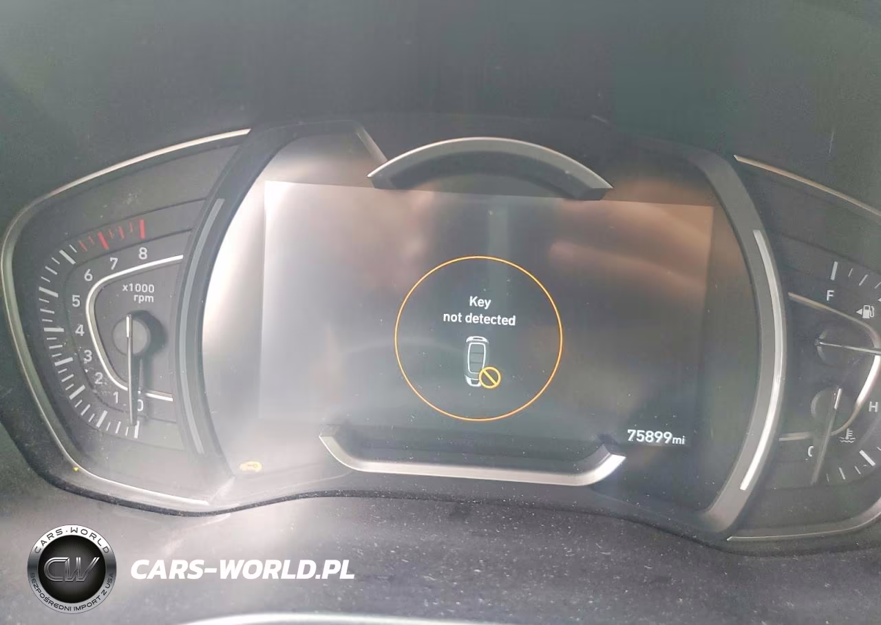 2020 Hyundai Santa Fe Limited 2.0T VIN:5NMS53AA0LH248126 - 9