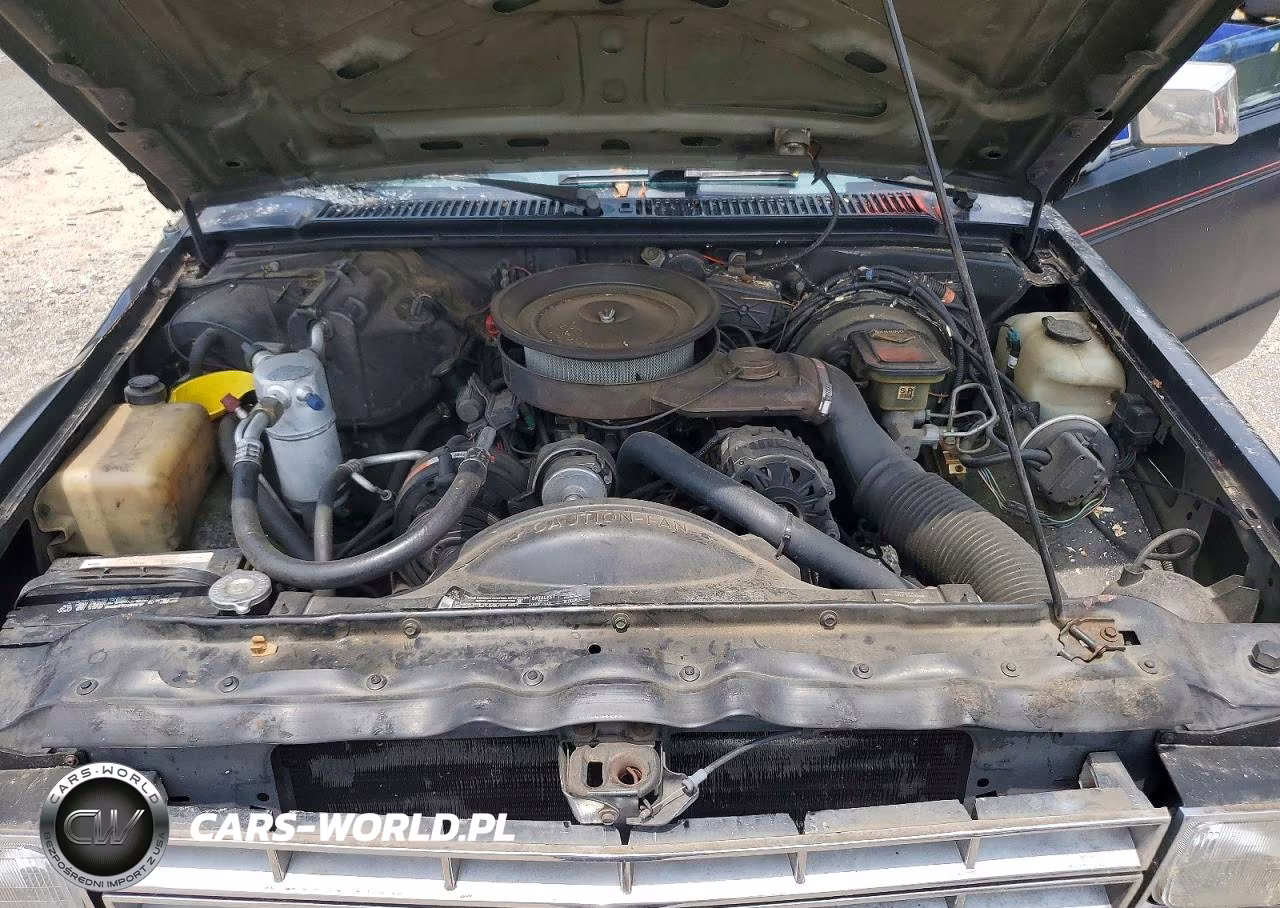 1988 Chevrolet Blazer S10 VIN:1GNCS18ZXJ8237265 - 11