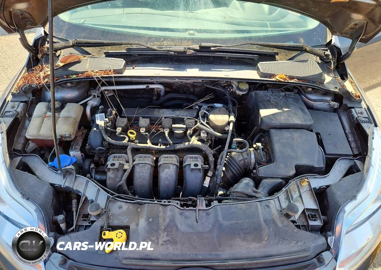 2014 Ford Focus Se VIN:1FADP3F26EL281725 - 11