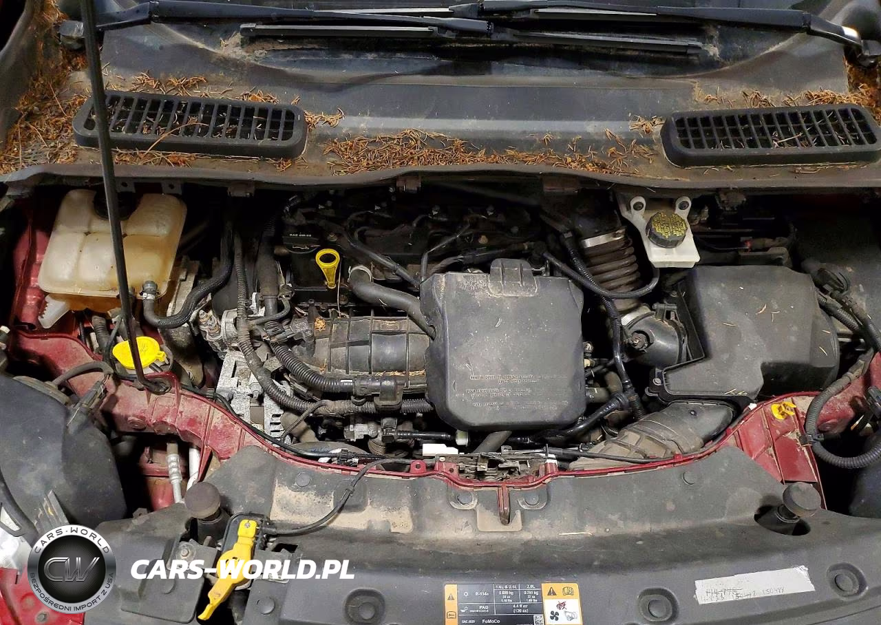 2014 Ford Escape Se VIN:1FMCU9GX1EUE00671 - 12