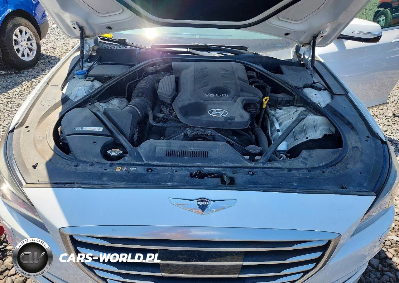 2015 Hyundai Genesis 3.8L VIN:KMHGN4JE8FU017076 - 11