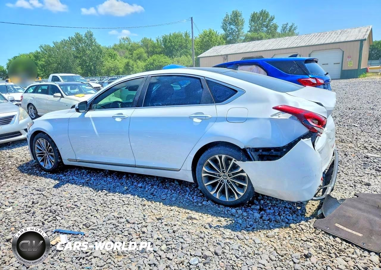 2015 Hyundai Genesis 3.8L VIN:KMHGN4JE8FU017076 - 2