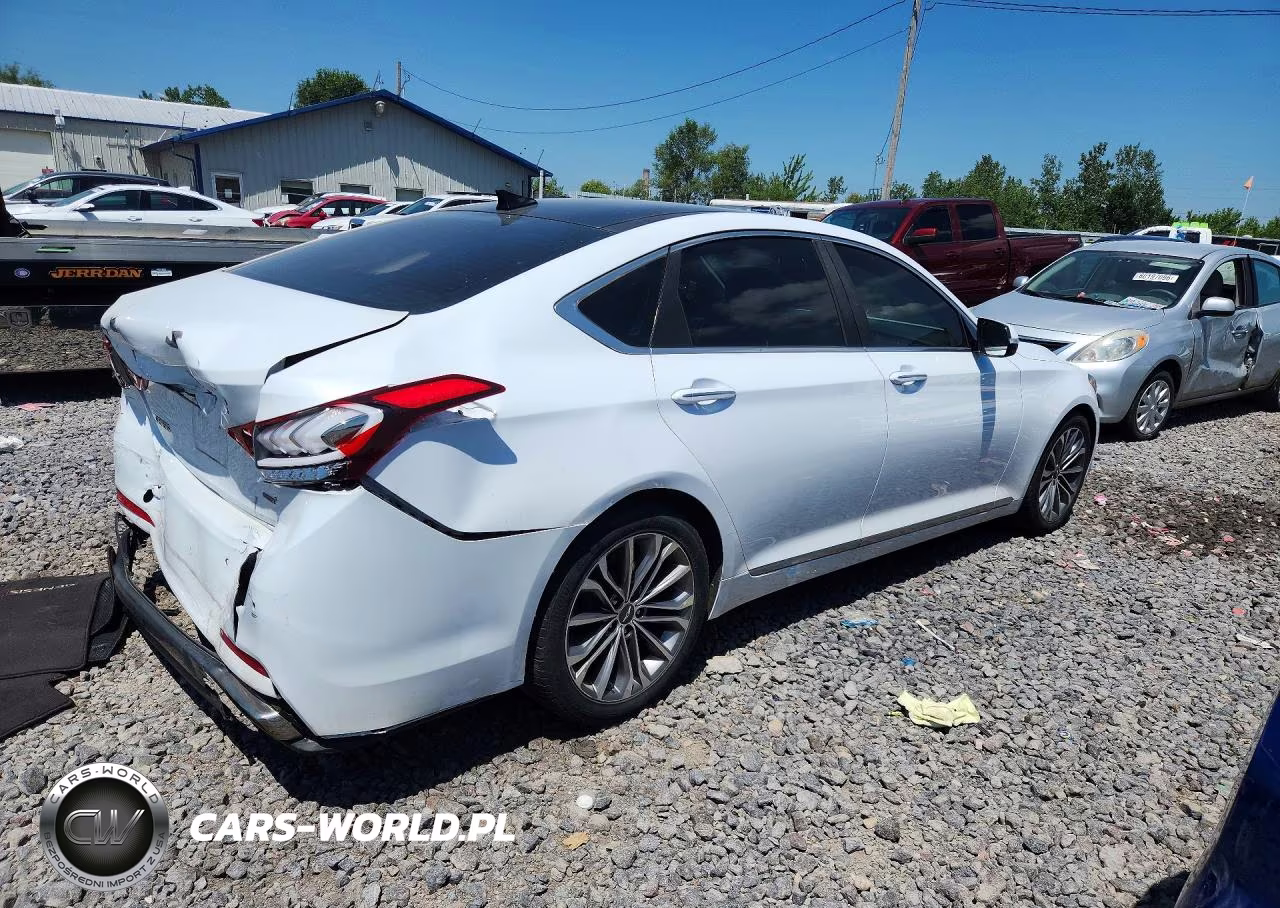 2015 Hyundai Genesis 3.8L VIN:KMHGN4JE8FU017076 - 3