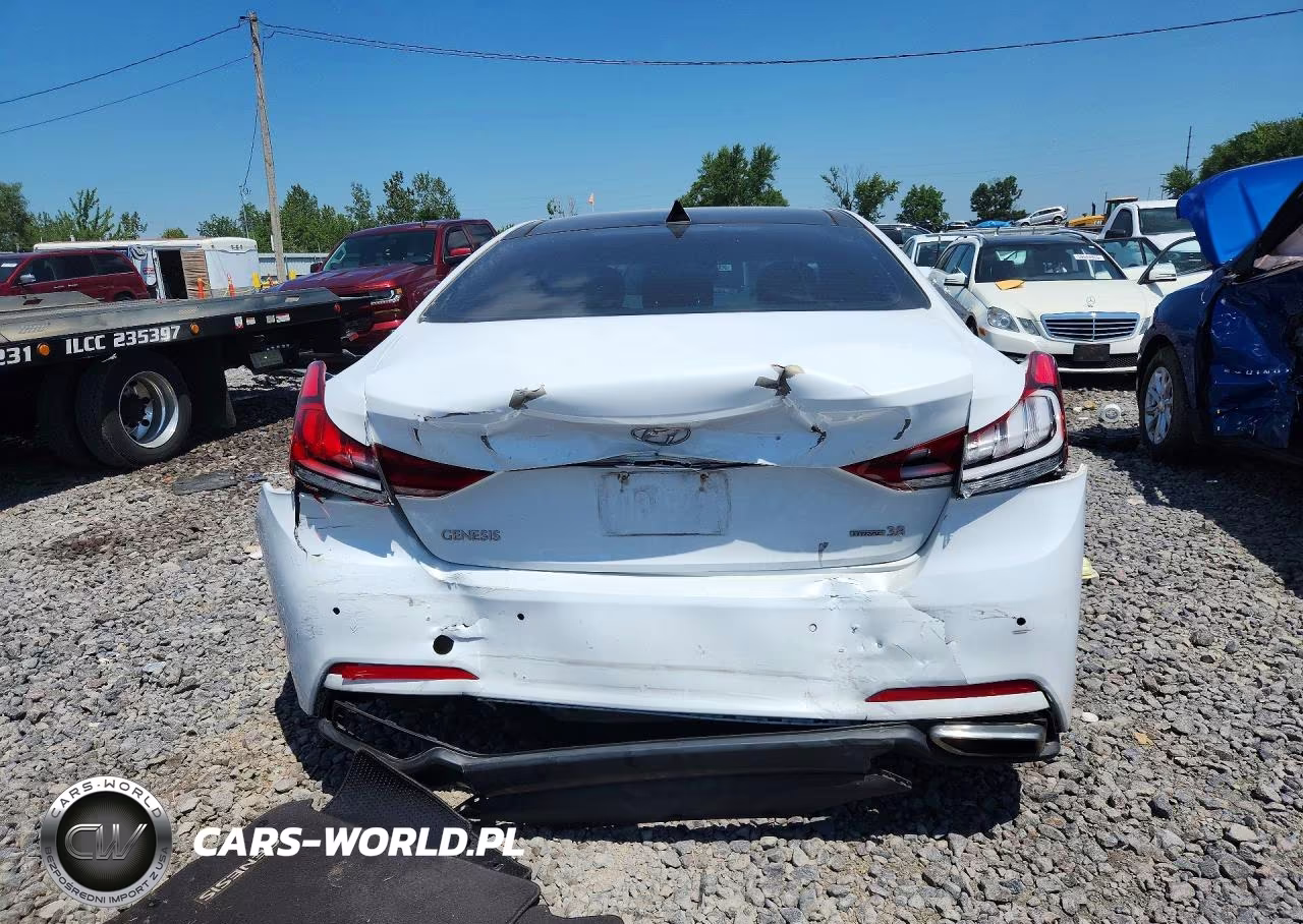 2015 Hyundai Genesis 3.8L VIN:KMHGN4JE8FU017076 - 6