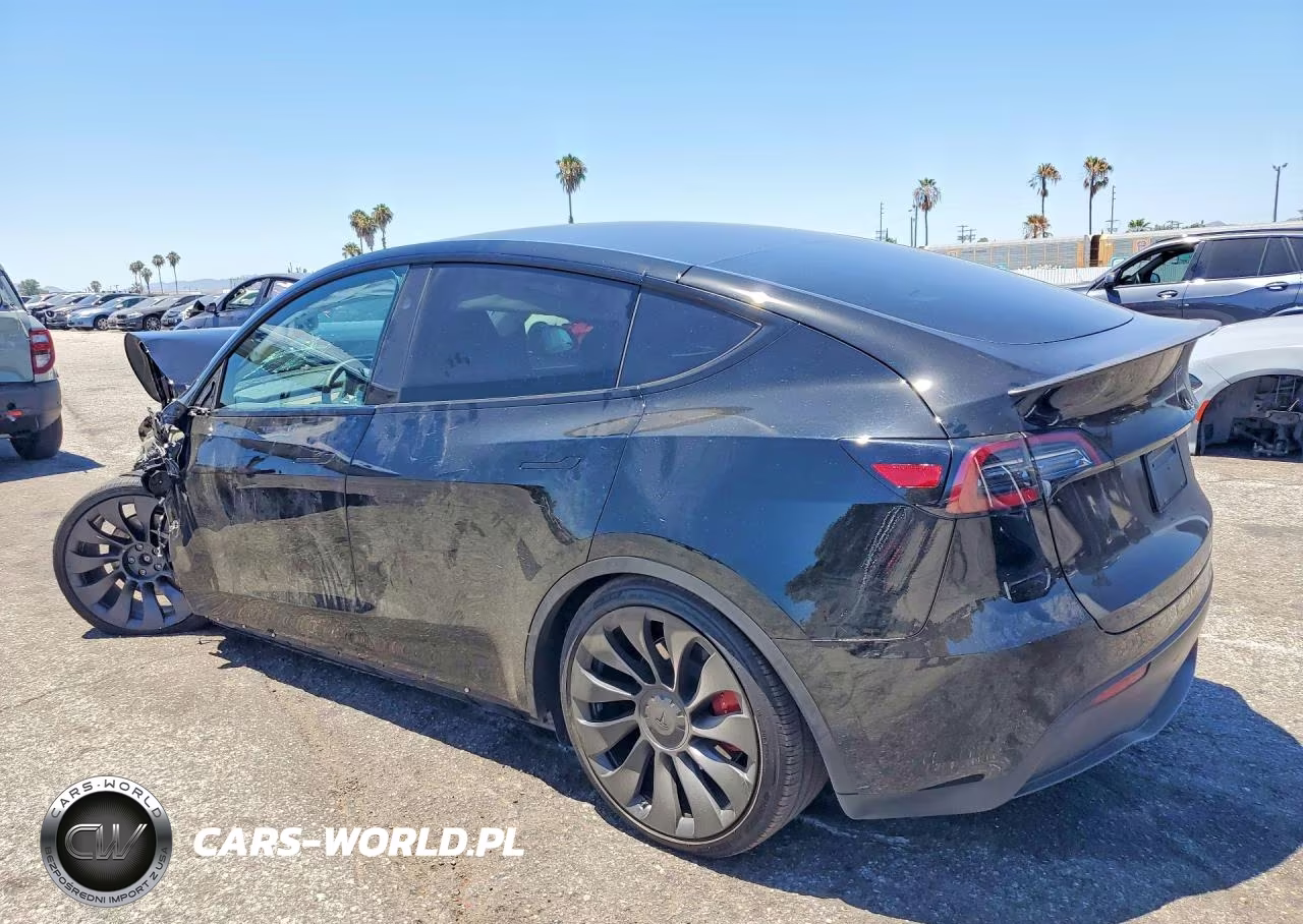 2025 Tesla Model Y VIN:7SAYGDEF2SF311116 - 2