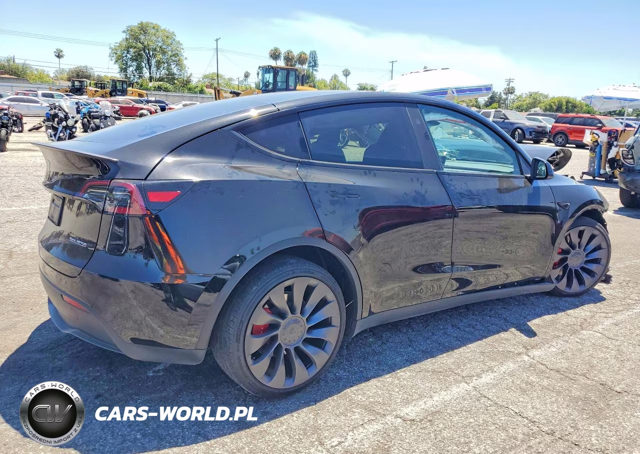 2025 Tesla Model Y VIN:7SAYGDEF2SF311116 - 3