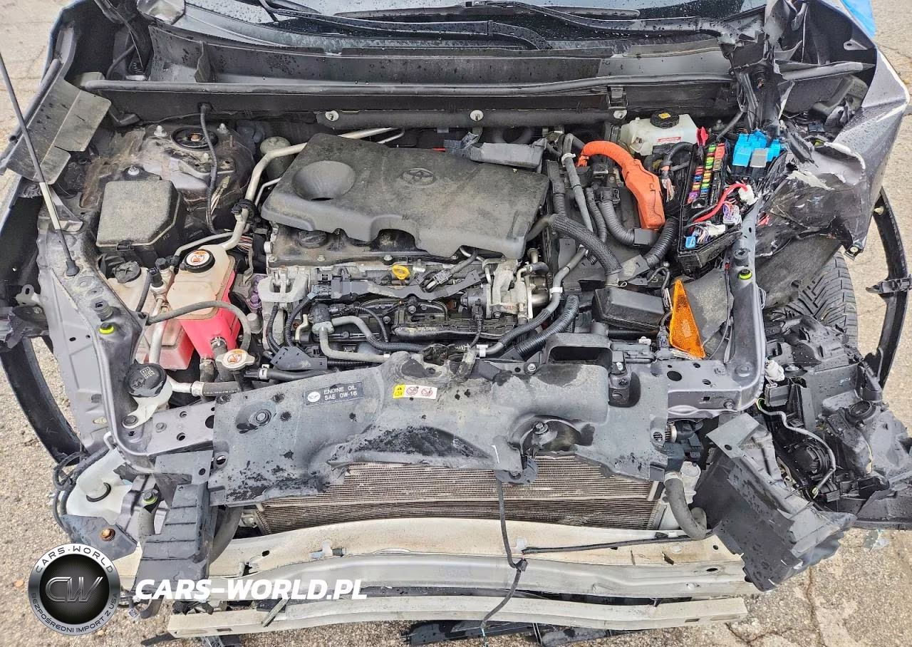 2019 Toyota Rav4 Xse VIN:JTMEWRFV5KJ005123 - 12
