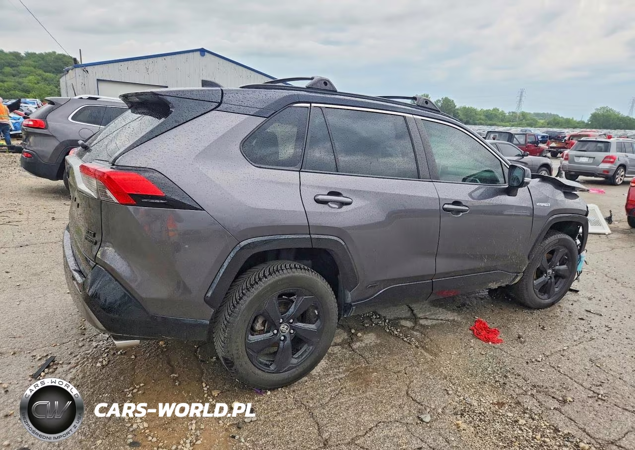 2019 Toyota Rav4 Xse VIN:JTMEWRFV5KJ005123 - 3