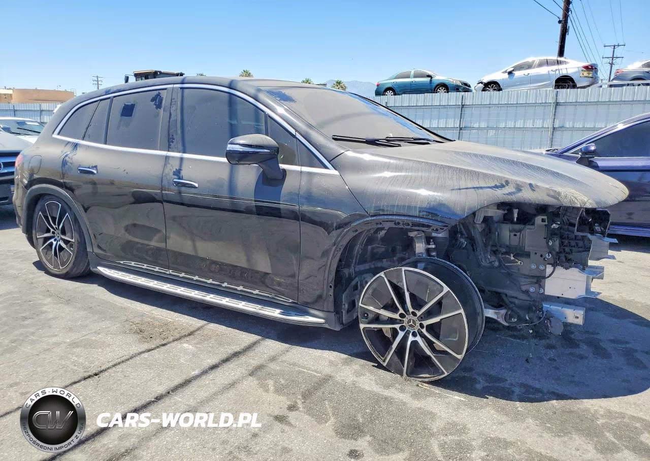 2023 Mercedes-Benz Eqs 450+ Suv VIN:4JGDM2DBXPA009494 - 4