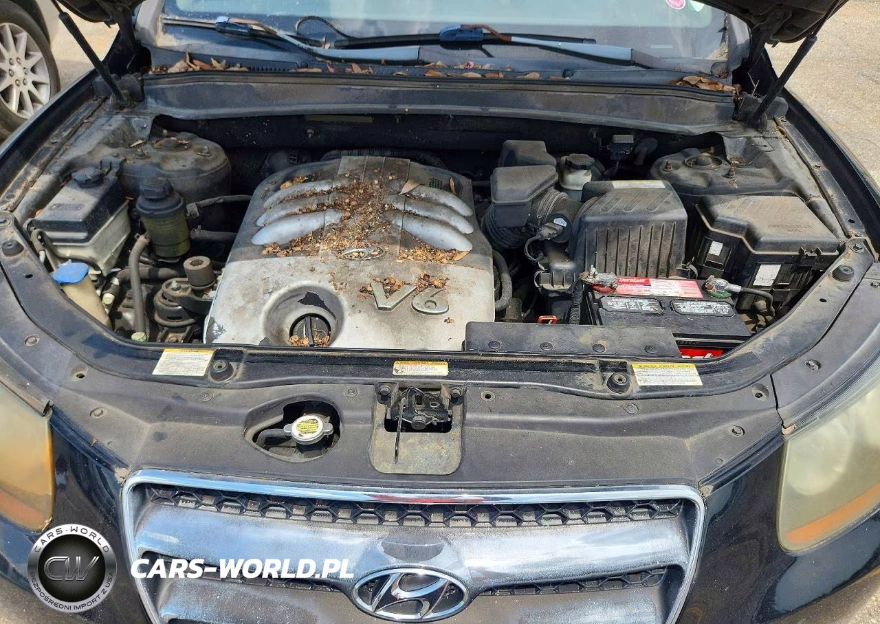 2007 Hyundai Santa Fe Se VIN:5NMSH13E37H084226 - 12