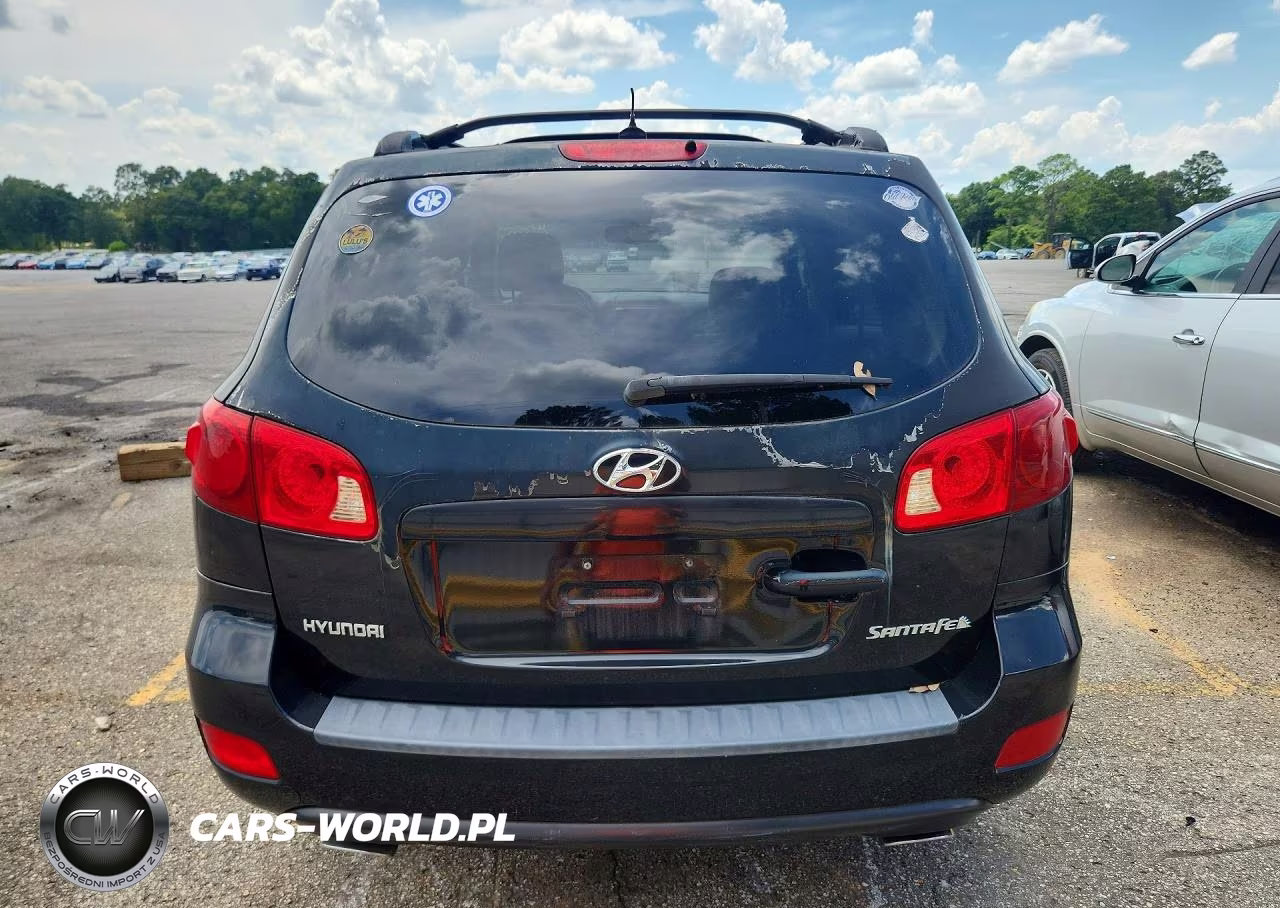 2007 Hyundai Santa Fe Se VIN:5NMSH13E37H084226 - 6