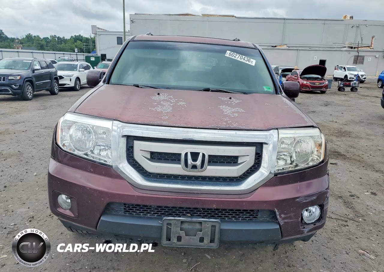 2011 Honda Pilot Exl VIN:5FNYF4H56BB038815 - 5