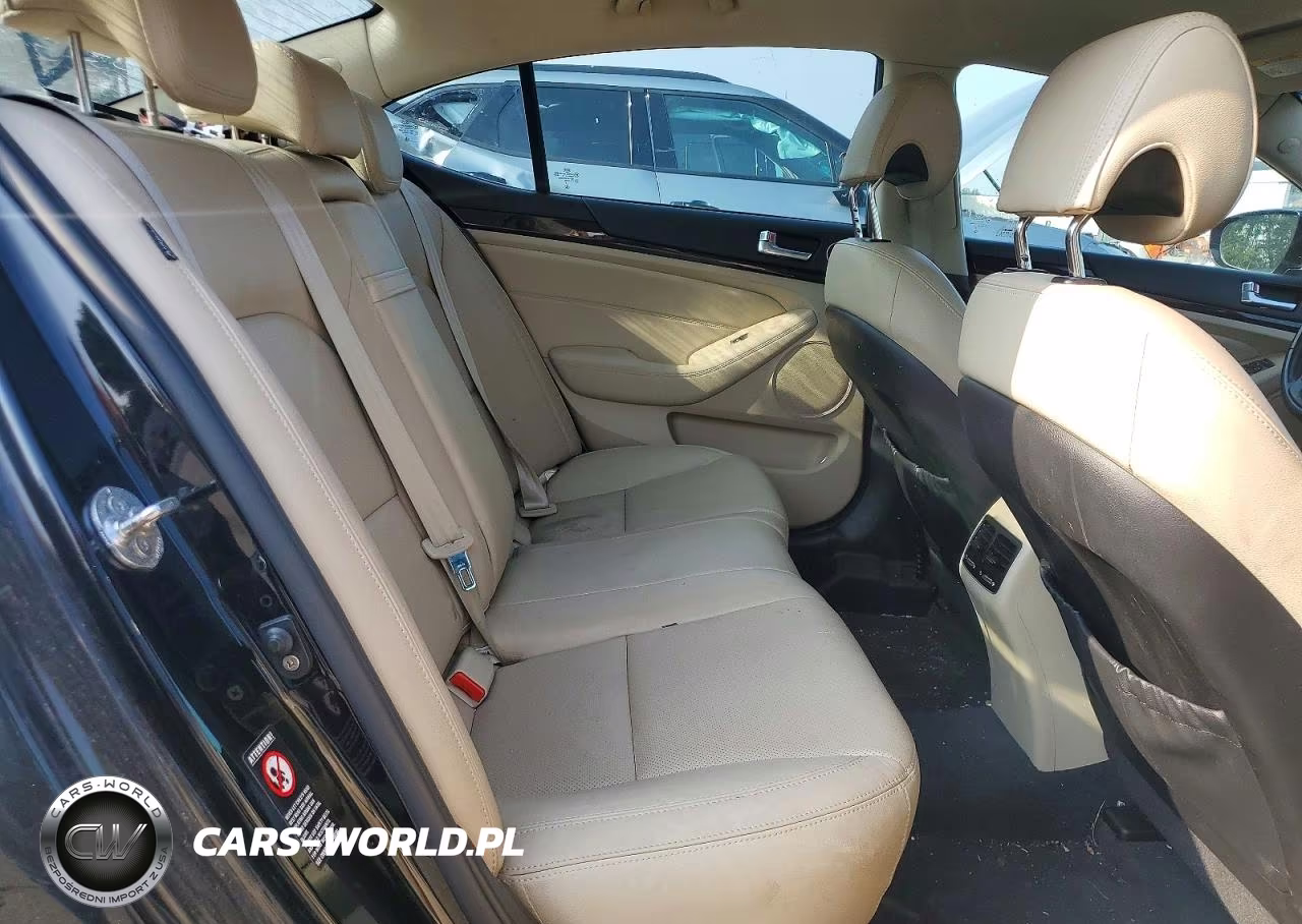 2014 Kia Cadenza Premium VIN:KNALN4D70E5137931 - 10