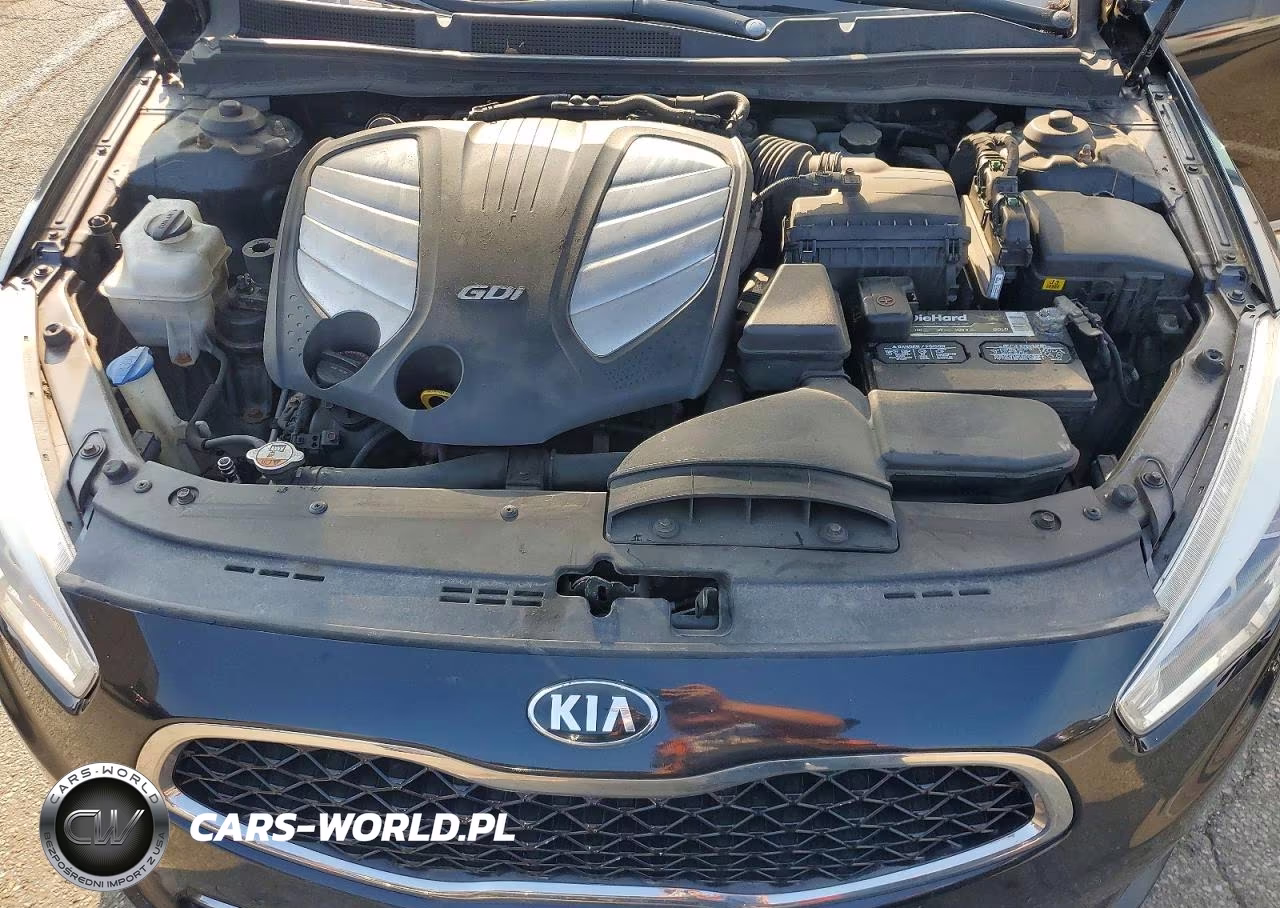 2014 Kia Cadenza Premium VIN:KNALN4D70E5137931 - 11