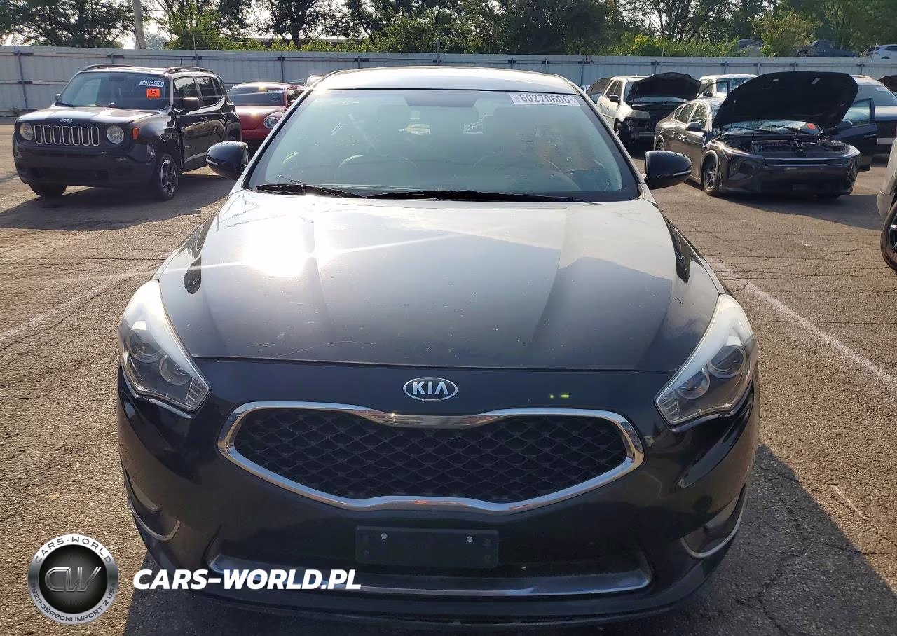 2014 Kia Cadenza Premium VIN:KNALN4D70E5137931 - 5