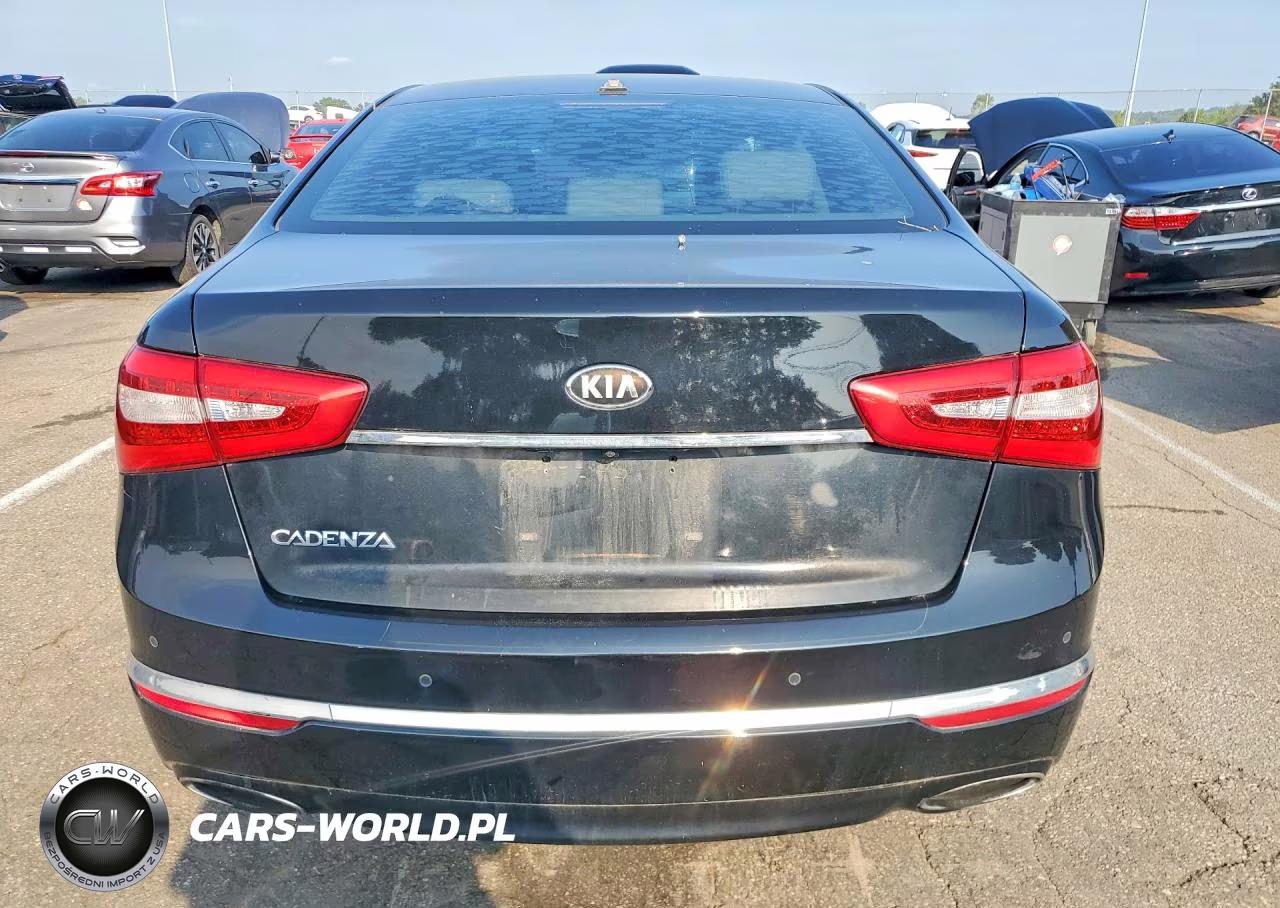 2014 Kia Cadenza Premium VIN:KNALN4D70E5137931 - 6