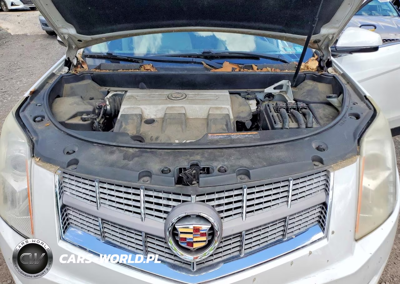 2010 Cadillac Srx Luxury Collection VIN:3GYFNDEY8AS642472 - 12